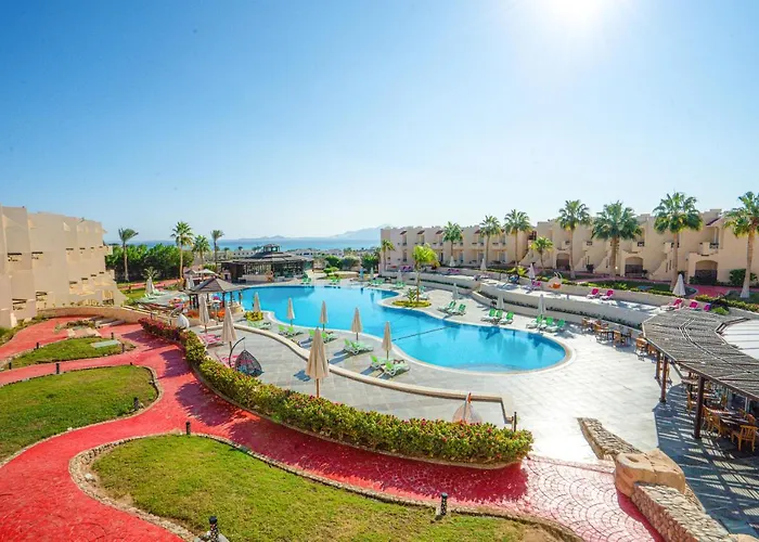 Resort Ivy Cyrene Adults Friendly 13