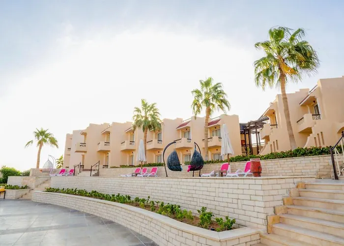Ivy Cyrene Adults Friendly 13 4* Şarm El-Şeyh