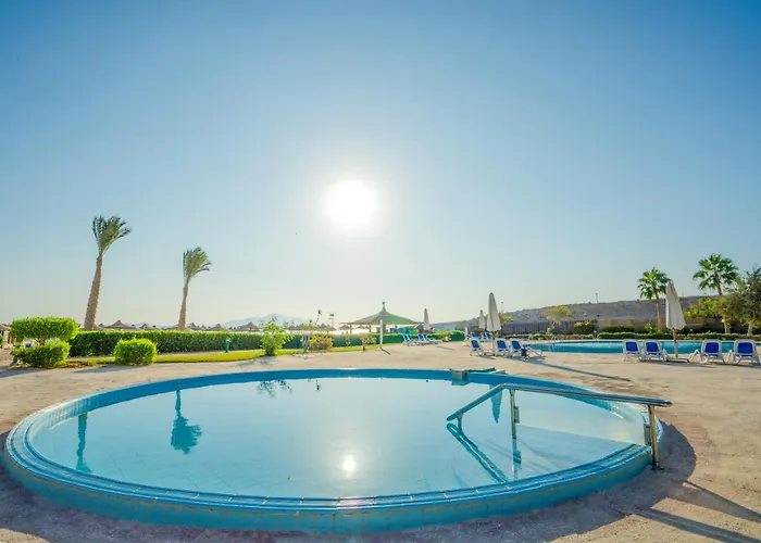 Ivy Cyrene Adults Friendly 13 Şarm El-Şeyh