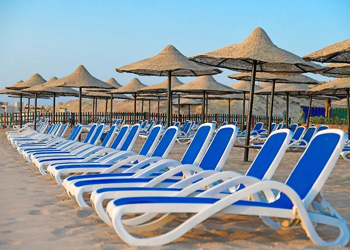 Ivy Cyrene Adults Friendly 13 4* Şarm El-Şeyh