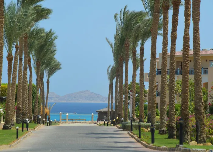 Resort Ivy Cyrene Adults Friendly 13 Şarm El-Şeyh