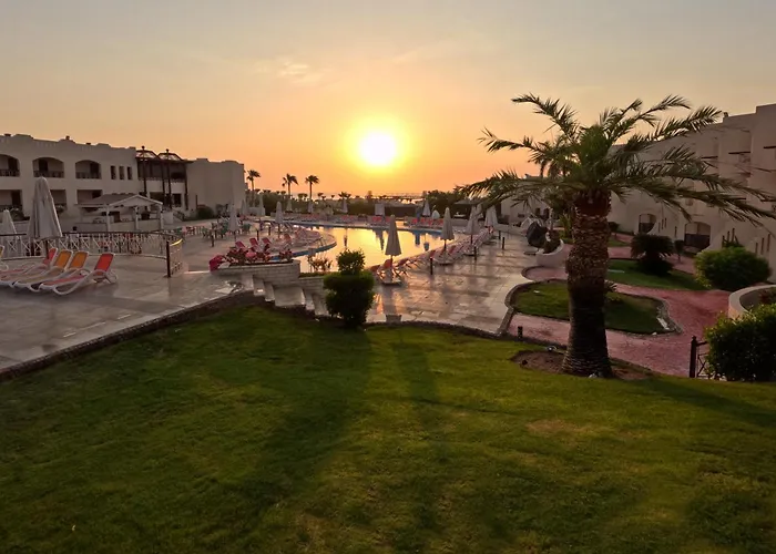 Ivy Cyrene Adults Friendly 13 Şarm El-Şeyh