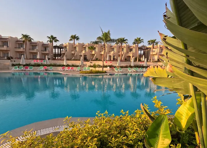 Ivy Cyrene Adults Friendly 13 4* Şarm El-Şeyh