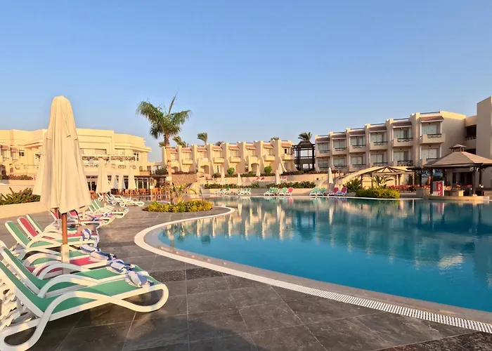 Ivy Cyrene Adults Friendly 13 4*