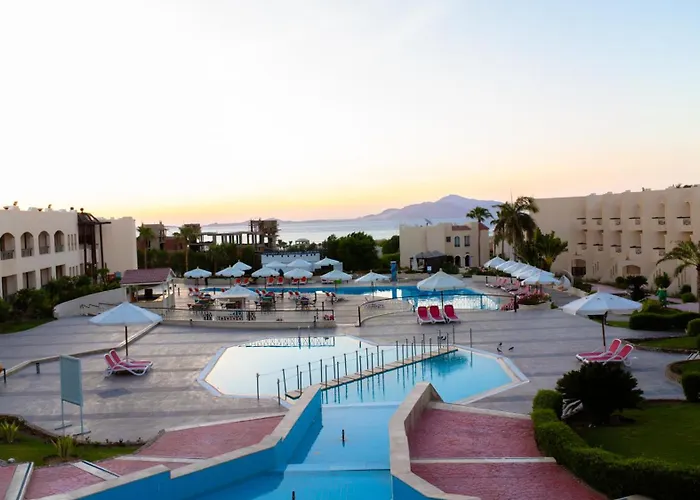 Ivy Cyrene Adults Friendly 13 4* Şarm El-Şeyh